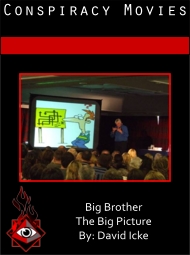 Big Brother - The Big Picture